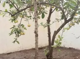 Appartement avec cours au centre ville