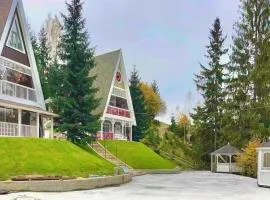 Двокімнатні апартаменти- увесь перший поверх котеджу FREEMAN-3а - є камін, тераса, гриль