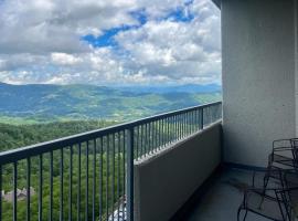 303 Sugar Top Dr #2901, hotel in Sugar Mountain