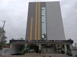 HOTEL MAESTRO EXECUTIVE PATO BRANCO
