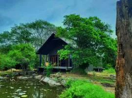 Turtle Pond Wilpattu