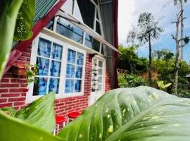 Dehigasella Cabana