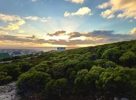 Agulhas Splendour