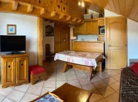 Appartement spacieux aux Saisies avec piscine et parking pour 6 personnes - FR-1-293-360