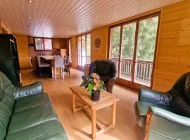 Beau Sejour 3- Appartement 6 personnes- Evolene