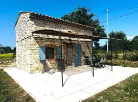 Le Cabanon des Lavandes entre Mont Ventoux et Luberon