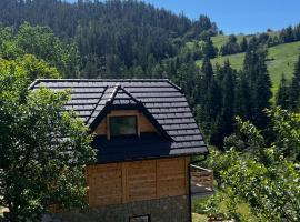 Planinska koliba Dada, hotel v destinaci Popovići