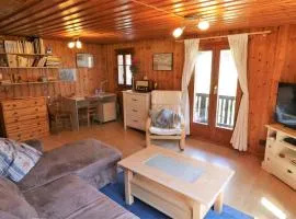 Le Tsenevire - appartement 4 personnes - Evolene
