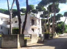 Apartments in Rosolina Mare 25084