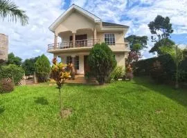 Kili Kivuli