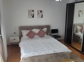 Garsoniera Spital Fundeni-Dragonul Rosu, hôtel à Dobroeşti