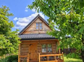 Domki góralskie Gazdówka u Janusza, готель у Полянчику