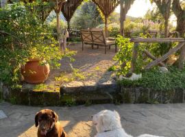 Agriturismo L'Olivara, agroturismo en Piano di Sorrento