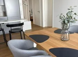 Penthouse Apartment