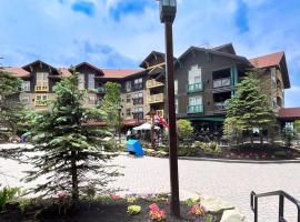 Rimfire 149, Hotel in Slaty Fork