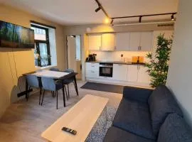 Central and Spacious Apartment for 6