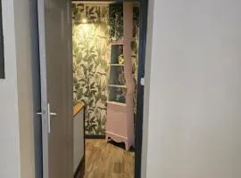 duplex centre ville