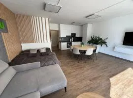 PeopleGuru apartments - Terasa, Garáž