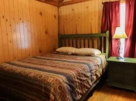 Lakeview Cedar Cabin - The Birds Nest - 1