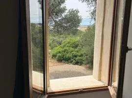 Maison au cœur de la garrigue