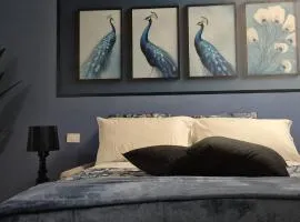 Dream Apartments alloggio turistico