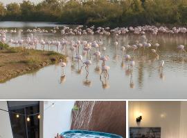 Villa l'Eden de Camargue- Spa et Nature、Candillarguesの別荘