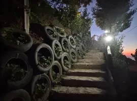 SESİLA DAĞ EVİ Bungalov