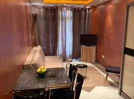 Apartman Studio Novi