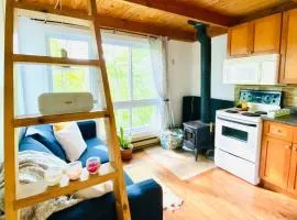 Le Tiny loft ski in ski out