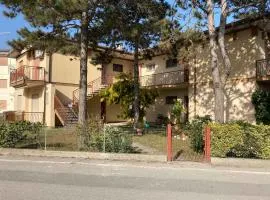 Apartment in Rosolina Mare 49216