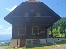 Ferienhaus Grillitsch