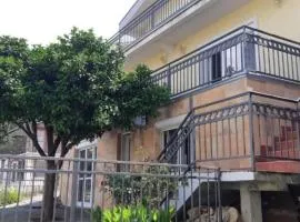 Villa Pampelmusa