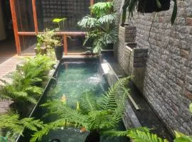The Dang's Home in Lao Cai