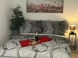 Apartman Collie