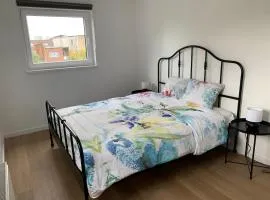 Home in Antwerp city center