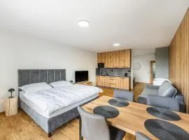 Premium Apartmán 13 - Užij si Lipno