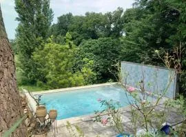Clos Du Zard - Piscine privée