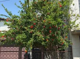Peaceful home Suvacha