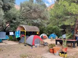 Lilith Pan Camping