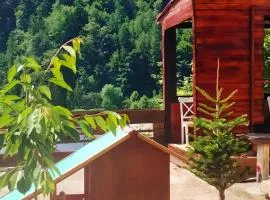 Doi Iepuri