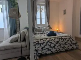 Cosy Lila - T1 - Centre ville