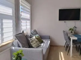 Courtyard Condo Summer Breeze