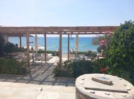 Studios Margarita