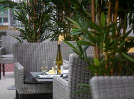 Hôtel Paradis, hotel v Lurdách
