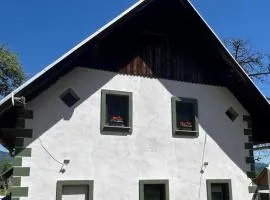 Bohinj Countryside House