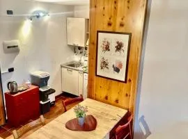 Il Nido di Pila Rifugio panoramico vicino agli impianti