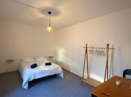 Grand T2 en centre-ville quartier historique, hotel in Fontenay-le-Comte