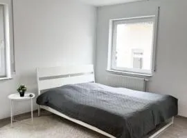Neu sanierte Einzimmerwohnung