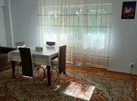 Sunny Apartment
