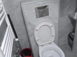Ninoshvili 1